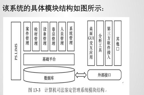 計算機軟件知識產權保護與經濟信息咨詢的協同發展